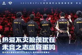 关于Karsa意外战胜独行侠，晋级下一阶段引爆全场！的信息